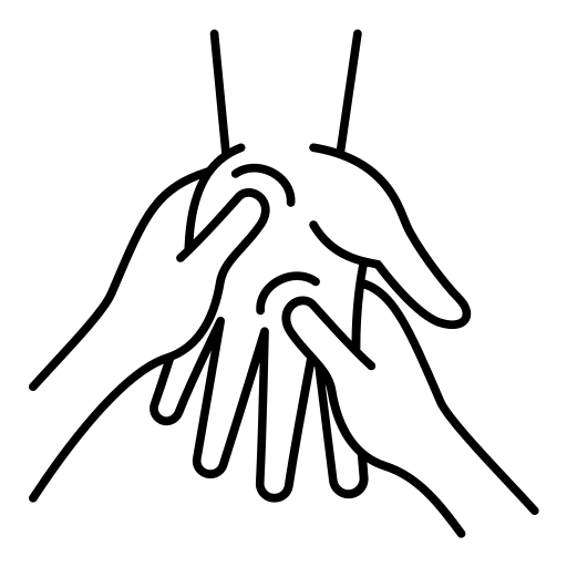 pt icon